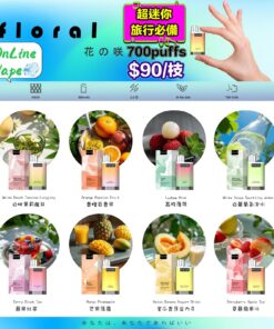 FLORAL花の咲 小型一次性電子煙 Mini Vape 700 Puffs